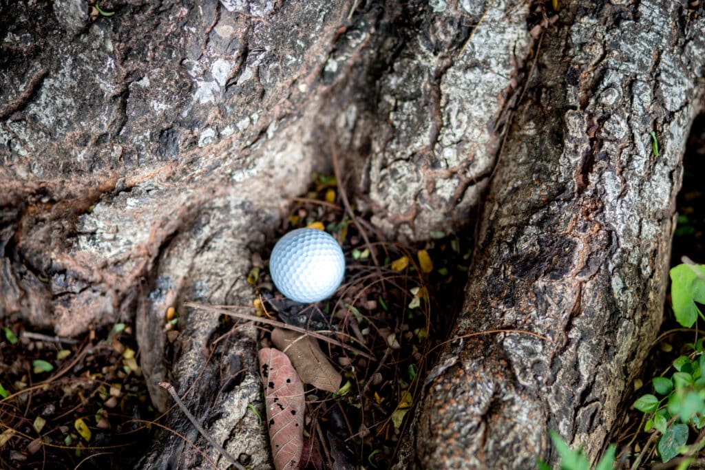 balle de golf slicée qui finit sa course dans un arbre