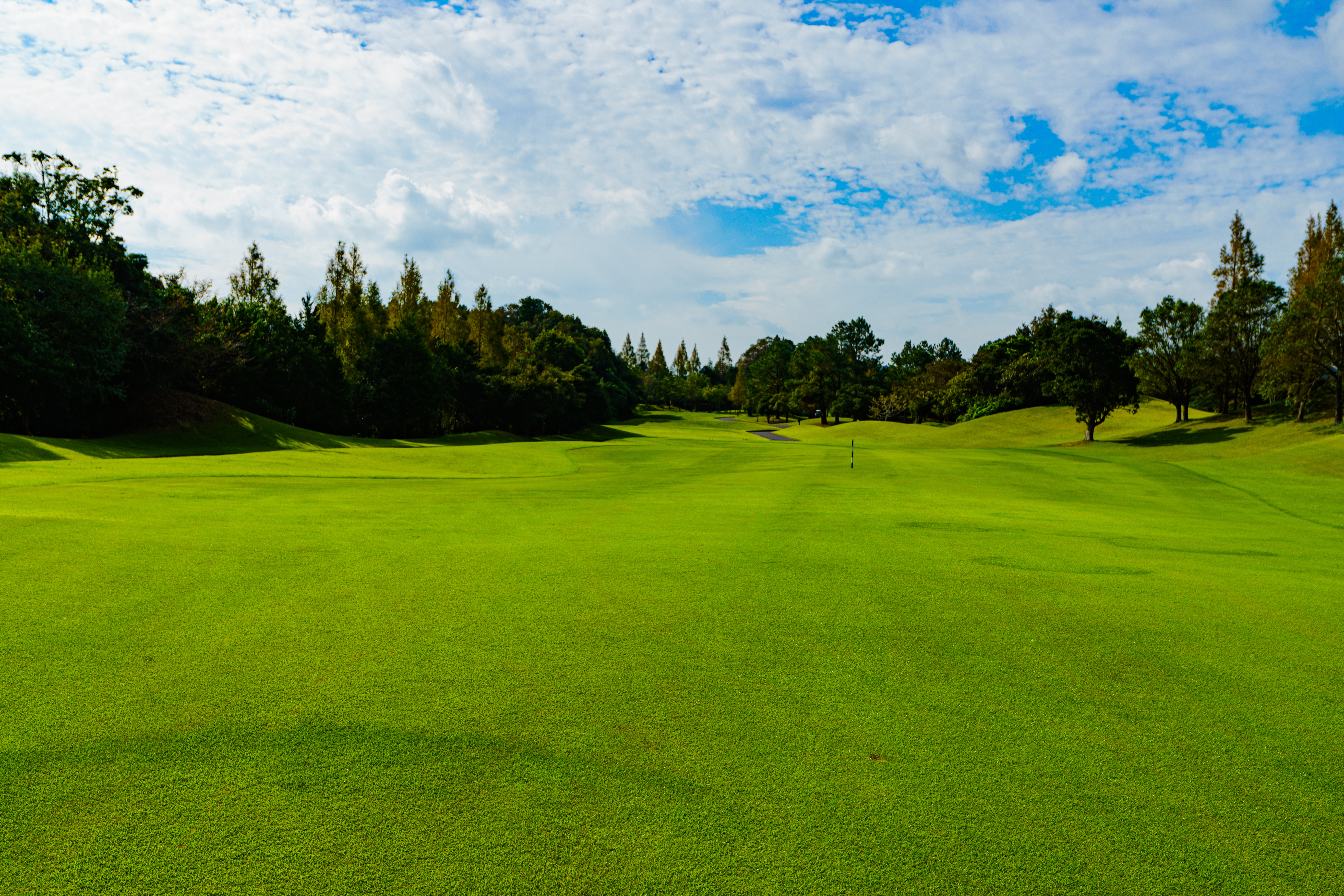 Fairway golf