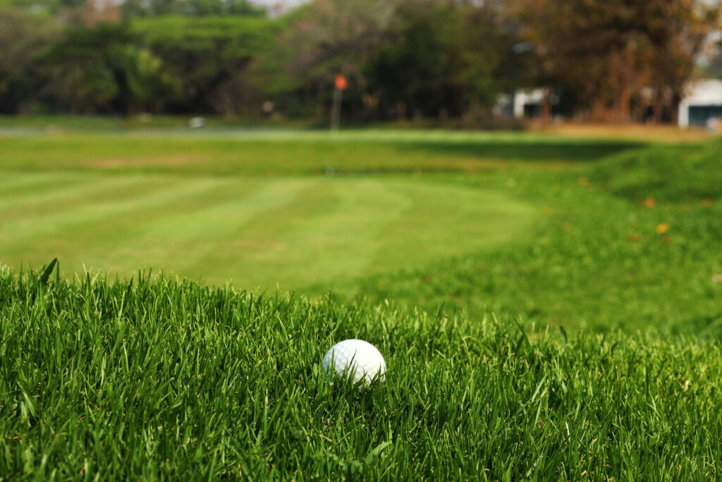 Parcours de golf balle dans le rough